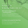 Exosome Cica Calming Toner - medicube.us
